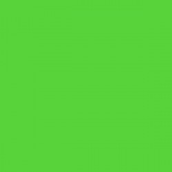 Apple Green Matt Opaque Ritrama M Vinyl (305mm X 5m)