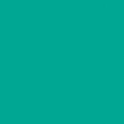 Aqua Green Gloss Opaque Ritrama L Vinyl (305mm X 5m)