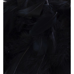 Black Eleganza Feathers Mixed Sizes 50g