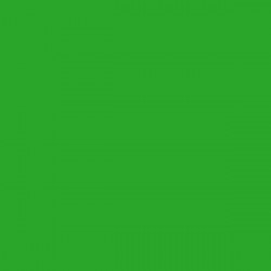 Bright Green Gloss Opaque Ritrama L Vinyl (305mm X 5m)