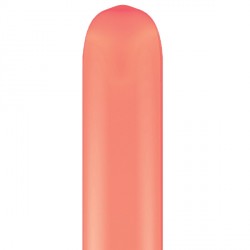 Coral 260q Fashion (100ct) Zmf