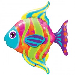 Fashionable Fish 43" Shape Group B Pkt Yte