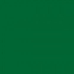 Forest Green Gloss Opaque Ritrama L Vinyl (305mm X 5m)