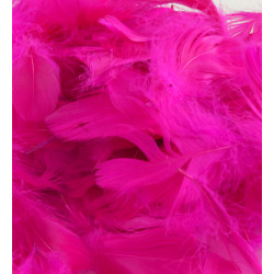 Fuchsia Eleganza Feathers Mixed Sizes 50g