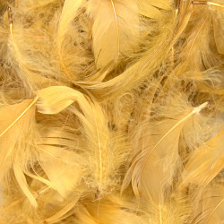 Gold Eleganza Feathers Mixed Sizes 50g
