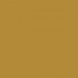 Gold Gloss Opaque Ritrama L Vinyl (305mm X 5m)