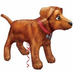 Golden Dog Ultrashape P45 Pkt (36" X 24")