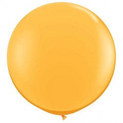 Goldenrod 3' Fashion (2ct) As
