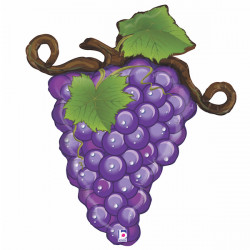 Grapes Purple Linky 31" Shape C Pkt