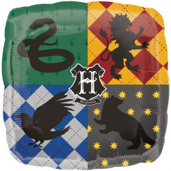 Harry Potter Standard S60 Pkt