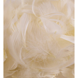 Ivory Eleganza Feathers Mixed Sizes 50g