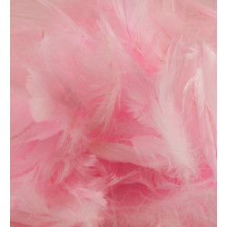 Light Pink Eleganza Feathers Mixed Sizes 50g