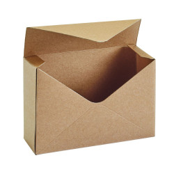 Natural Envelope Boxes (10)