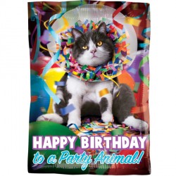 Party Animal Avanti Junior Shape S40 Pkt
