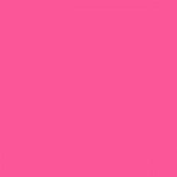 Pink Gloss Opaque Ritrama L Vinyl (305mm X 5m)