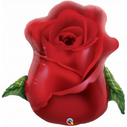 Red Rose Bud 33" Shape Group C Pkt Yzp