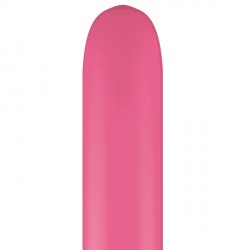 Rose 160q Fashion (100ct) Ycr