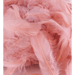 Rose Gold Eleganza Feathers Mixed Sizes 50g
