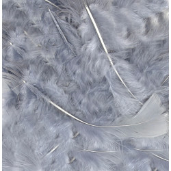 Silver Eleganza Feathers Mixed Sizes 50g