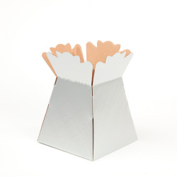 Silver Glossy Porto Vase/hamper Boxes (25)