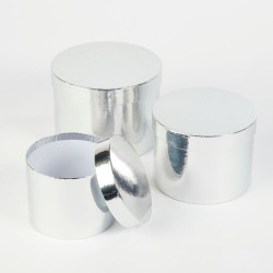 Silver Metallic Hat Boxes (3)