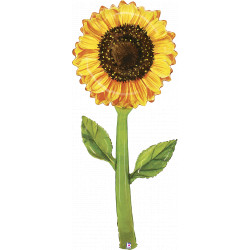 Sunflower Watercolour 60" Fresh Picks Shape Pkt