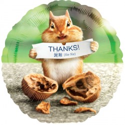 Thanks Chipmunk Avanti Standard S40 Pkt