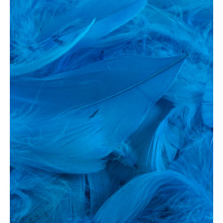 Turquoise Eleganza Feathers Mixed Sizes 50g