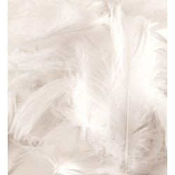White Eleganza Feathers Mixed Sizes 50g