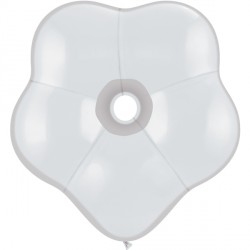 White Geo Blossom 16" Standard (25ct) Lca