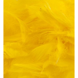 Yellow Eleganza Feathers Mixed Sizes 50g